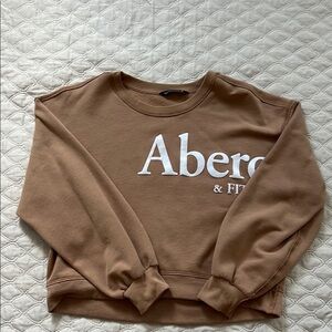 Abercrombie & Fitch Tan Logo Sweatshirt